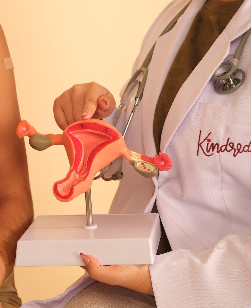 A Kindred doctor showing a patient an anatomical model of the uterus and ovaries